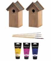 2x houten vogelhuisje nestkastje 22 cm roze geel blauw dhz schilderen pakket
