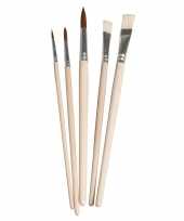 Knutsel schilder penselen synthetisch set 5 delig